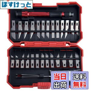 yzGOLD DEER 29s[X Jb^[ zr[iCtnZbg zr[iCtLbg SK2 ֐n26  sZbg ؍Ntg zr[piCtZbg fUCiCt c[Zbg