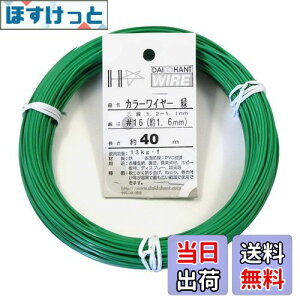 yz_Ch[ng (DAIDOHANT) j [rj[핢] J[C[ O[ (  ) [] #16 (1.6 mm x [] 40m 10155312