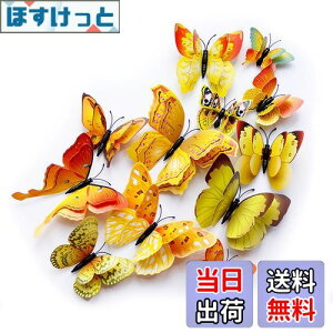 yzULIN  3D  EH[XebJ[ ǎV[  ʃe[v V[ rO ① CeA ǃV[  킢 EH[y[p[ |X^[ CG[