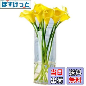 yz? KX ԕr Ԋ V_[ ~ ԕr KX ԕr   ԕrk ԕr 30cmt[x[X Ԋ oXPbg ԕr K[f KX Of[V  Vv 