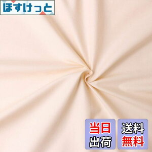 yz{Rtf(Nippon Chuko) GCeBXNGA n n 100% V[eBO N[x[W x[Wn Ж110cm×50cmؔJbg KD4630-103-50CM n nn GCeBXNGA