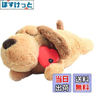 yzDEWU ybgpn[gr[gʂ݁Aqŝ\tgybgg[ʂ݃X[sOofBs⏕sɘa⏕ʂ݃X}[gL