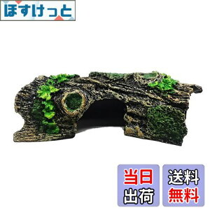 yzCharmoon ANAE IuWF  B  I[ig  u CeA 