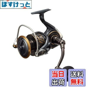 yz_C(DAIWA) XsjO[ 22CALDIA(JfBA) SW 10000-P