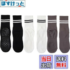 yz[DFsucces] K\bNX ~ KC 3 Õ\bNX  ۉ seBX \bNX RۏLC z z ʋC X|[c tBbglX I[V[YΉ 