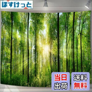 yzU-SITU ^yXg[ Ǌ| Ǐ X  ъ RiF IV wi @\ z|X^[ CeA ͋C]iTCYF75cm x 100cmjJ[FGT0107SA