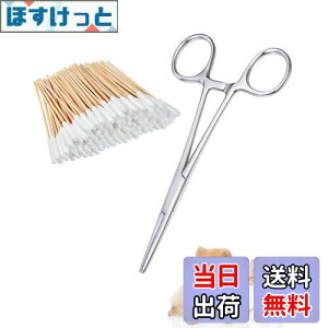 yzSensaBliss q ybg pȖ_50{Zbg XeX ybg̖є ybg̖єp | ybgp vőϋv ȒP  L ̃PAp