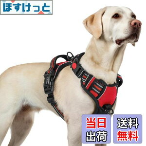 yz[ŐV^n[lX]rabbitgoo  n[lX p ^/^/^ h~ TCY\ A^}ʂ Ԕˍ Ȃ ʋC Pݖh~ s⏕n[l