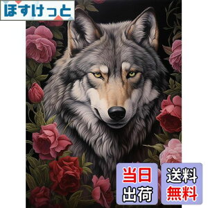 yzReofrey _Ch̊G T, _ChA[g NXXeb` Lbg , Lbg Sʓ\t^Cv r[YA DIY |Lbgz[ Xg CXg[ 