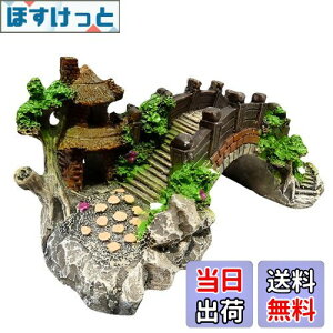 yzCharmoon ANAE  IuWF  A[` B VF^[ A a {뉀 (S, O[)