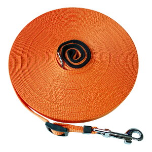 yzp[h O [v  ^E^E^p PEp U Ro ɕ iC v  WP[u (10m, IW)