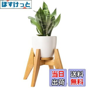 yzt[X^h Yangbaga X^h | Ƒ O  K[fjO ߉\ ő׏d30KG