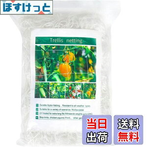 yzDERAYEE |lbg |pgl 1.67m×c5m 15cmԖ iq A