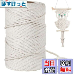 【送料無料】4mm 綿紐,100M 太いマクラメロープ 手芸 壁掛け おもちゃ 盆栽などに (ベージュ)