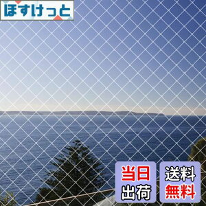 yzhlbg x_悯lbg 4m×10m JX ΍h ʎ؍͔|hblbg LNEh~ F ioh 15{tjLimthe