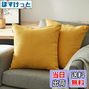 yzTopfinel NbVJo[ lۂ 45×45cm k  Ȗ n \t@w Jo[ zcJo[ CG[ 2ZbgiS10Fj