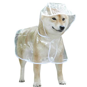 yzAmzBarley p CR[g |` H  n y ʋC ϋv K _炩 EȒP   O J Xqt  h h h q ^ ^ p J Jbp V