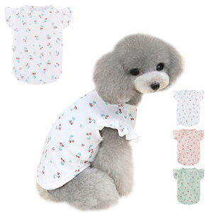 yzAmzBarley   t Vc  ڕ t EhlbN  m ^ ^  t _炩 ʋC Lk y ybg іh~ Oh  t  