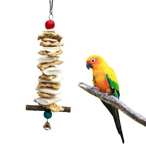 yz  Jg{[ VR CR  CJ̍ x ݂艺 ނ  IE IJCR ZLZCCR JVE̕⋋