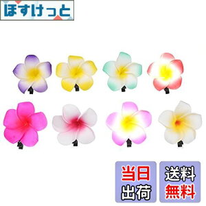 yzFrcolor  wAs vA wAANZT[ O wANbv nC  wbhhX 6cm 24Zbg