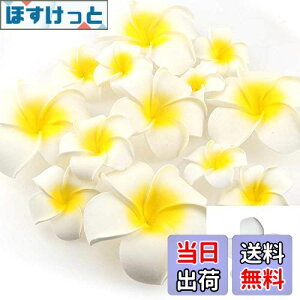 yzYesallwas wA Nbv s vA  5cm 20Zbg Ԃ̂  wA Nbv s vA   DIY  p[eB[p t ʐ^Be