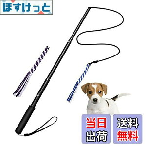 yzpފƂ [v   hM[} Pp p ފƌ^ OߐLkł 2pt 3`5Jɔzς