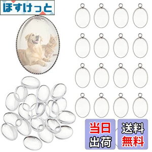 �y���������zPH PandaHall ��20�g 23x14x1mm 304�X�e�����X�| �g���C ���� �K���X�J�{�V���� �~�[���M �J���I�� ���W�� ��� �C�������O �y���_���g �N���A �`�x�b�g�� �W���G���[�p ��|�p�i ���� 