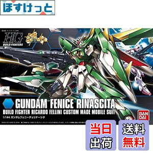 yzHGBF 1/144 K_tFj[`Fi[V^ Fς݃vf