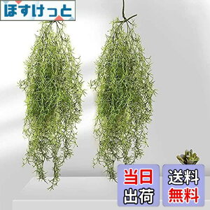 yzCherrytree tFCNO[ CeA ԗt nMOubV XpjbVX  2_Zbg