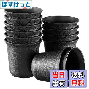 yzLIOOBO Aؔ vX`bN A T{e v^[e t[|bg 6.5x6.5x6.5cm 12Zbg