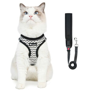 yzL Lp n[lX   Lp ^ ETM \tg [ht Ȃ 锽 bV ʋC y TCY߉\ }WbNe[v ˃XgCv