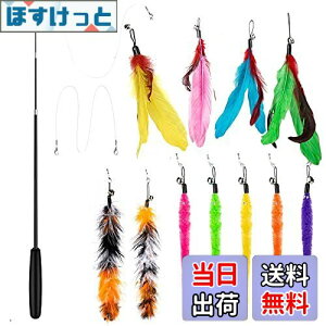 yz14 _Zbg L ColiChili L炵 VR Ĥ pH11 _t pނ莅2 ԂԂ ybgObY ˂pi