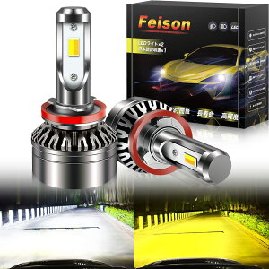 yzFeison led 2F؂ւ J[`FW ou tHOvp