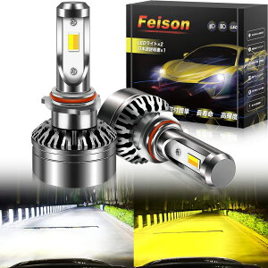 yzFeison led 2F؂ւ J[`FW ou tHOvp