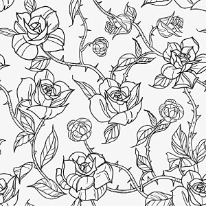 yzCHIHUT JbeBOV[g ǎV[ 44.5cmx6m ԕ n ӂ܎ CNV[g NX EH[XebJ[ S҂łȒP ͂ǎ hhhϔM tH[ C 