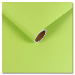 yzCRE8TIVE ǎV[ n CNV[g ǎ  PVCގ ǎ NX ̂t ͂