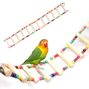 yzCRɊ΂ ~܂؂ƒq {[܂ށA[ybgpi ėpEp Zbg