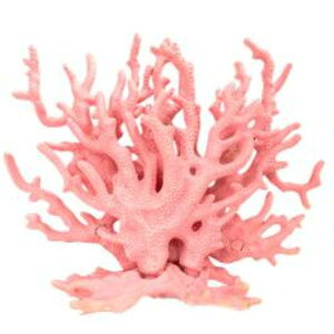 yzASPALAND TS X  ANAE IuWF lHX tFCNTS   p