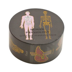 yzSTUDY HOLIC }XLOe[vylސwz}Xe fR[V 킢 ST-2