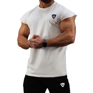 yz[LVFU] ^Ngbv Y WtVc g[jOEFA m[X[u Wp ؃gEFA  {fBr X|[cVc F