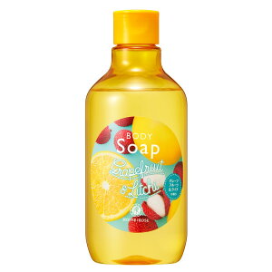 yznEXIu[[ {fB\[v LG (O[vt[cC`̍) ێz 300mL FFF