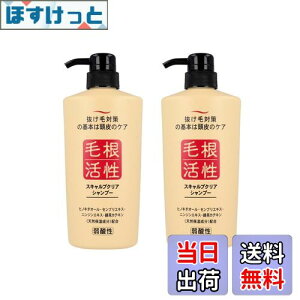 yzї\h Vv[ XLvNA Vv[ 550mL × 2Zbg э TCYF550ml