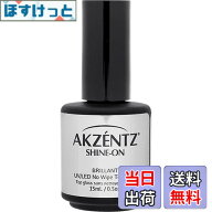 【送料無料】アクセンツ(AKZENTZ) UV/LED シャインオン 15ml 色：ブラック、サイズ：15ミリリットル (x 1)