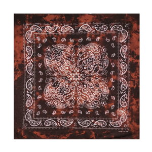 yz[kakatrend] o_i yCY[  100% Op l nJ` Rbg ΂񂾂 jZbNX hD[O 唻 Y 55cm×55cm FFA-i FATCYF55cm×55cm