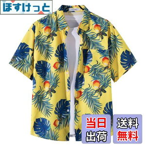 yz[Moerstar] AnVc Y 傫TCY AnVc fB[X J݃Vc  Vc Y N[  ʋC ĕ eqyAbN  rb` s C