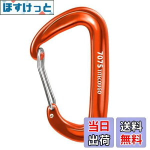 yzTITECOUGO y ω׏d 12KN(1200kg) Jri oRt @\[L[z_[ELvEnbN Ȃ]5FA1A2A4 FFD1200kg IWATCYF1 