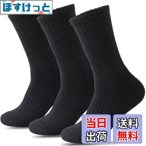 yz[HWVICTORYV] C Y X|[c\bNX  pC R hL  3Zbg 24-27cm  jO \bNX oXP oR Ɨp WjA w n  FF3 