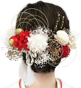 �y���������z[JZOON] ���l�� ������y10�F�W�J�z �w�A�A�N�Z�T���[ �s���|���}�� ������ ���O�W���A���[ �h���C�t�����[ �a�� ���Ǝ� ���l�� �� ���� ���� ���� �U�� �a�� ������ ���� �����ݑ�