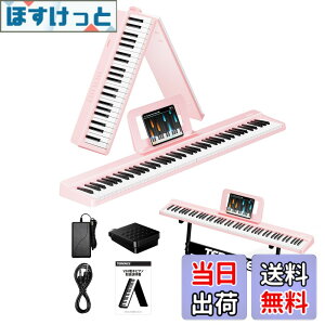 �y���������zTERENCE �d�q�s�A�m 88���� V20-Z �F�F�s���N�A�T�C�Y�F�R���p�N�g