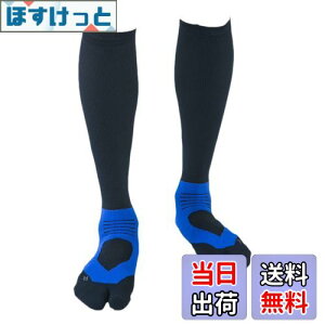 yz[e[W] AX[gEhPRO(v) v2 St\bNX (25-27cm, u[) { Y/fB[X ~ iK nC\bNX Stp C IF37 FFu[